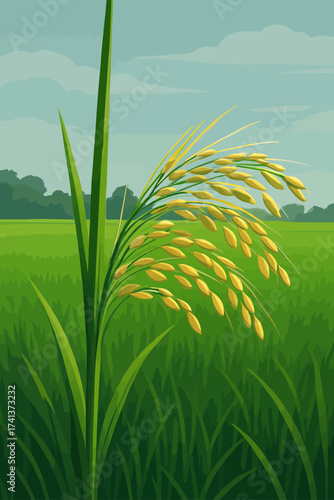 A close-up illustration of a rice plant in a lush green paddy field. The golden-yellow grains of rice hang gracefully from the stalk, indicating ripeness and the approach of harvest season. The backgr