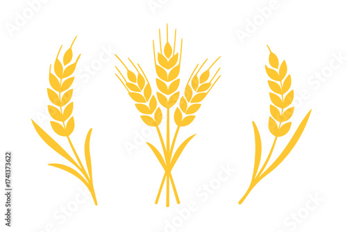 Golden wheat ears vector illustration set. Ripe wheat grains and spikelets for agriculture, harvest, and food concepts. Cereal icon collection for bakery or organic farm logo.