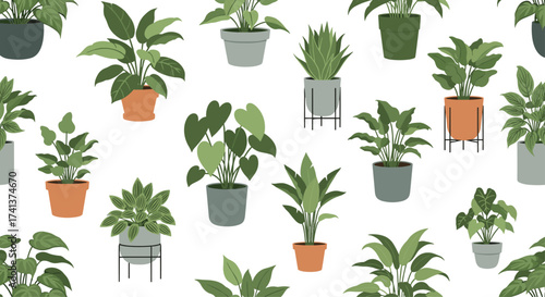 A charming collection of various potted houseplants.