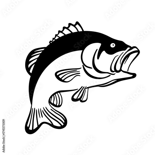 Bass. Bass simple black and white line art vector logo