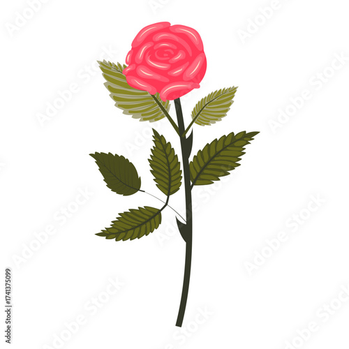 Bright pink rose. Lush flower on a slightly inclined stem. Vector illustration isolated on a white background.