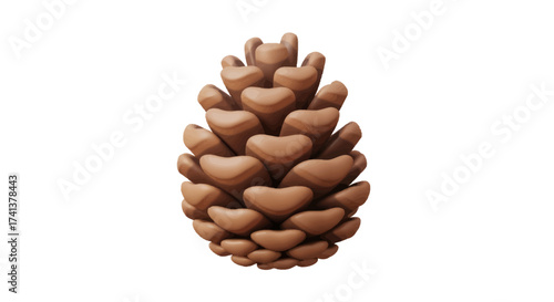 A detailed textured brown pine cone with distinct scales and a pointed tip.