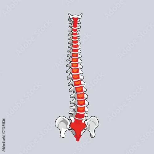 World Arthritis Day Awareness Vector Illustration with Joint Pain Highlights, Blue Ribbon, Flat Minimalist Design, Health Education and Arthritis Prevention Campaigns