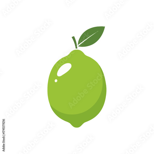 Vibrant Green Lime Fruit with Leaf Illustration