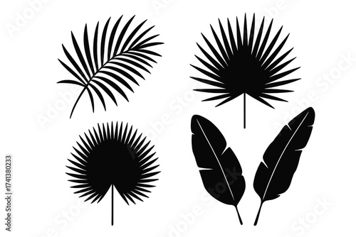 Tropical leaves silhouette set. Vector collection of black jungle foliage. Fan palm, banana leaf icons. Botanical nature elements. Exotic summer plants. Floral design element.