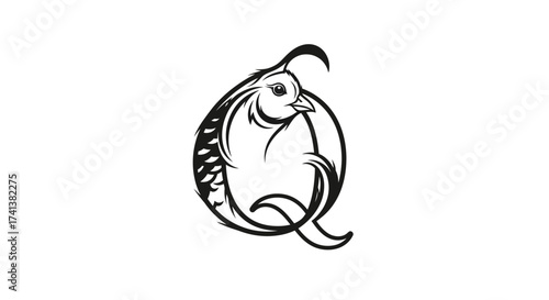 Stylized Bird Design with Letter Q Silhouette in Black and White