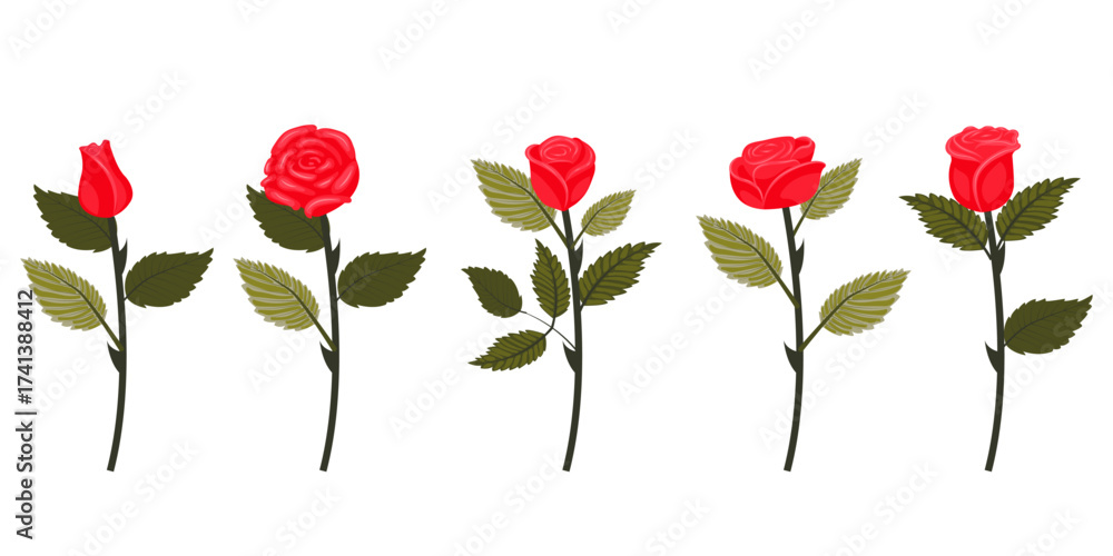 Naklejka premium Set of bright red roses. Five flowers on slightly inclined stems. Vector illustration isolated on white background.