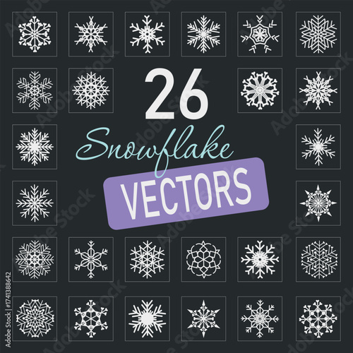 Collection of 26 detailed snowflake vector designs. Perfect for winter decorations, holiday cards, seamless patterns, and Christmas