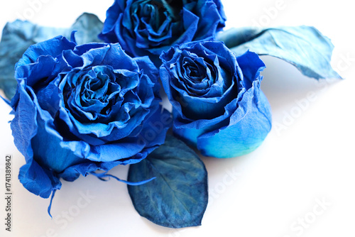 Greeting card mockup with blue roses on a white background
