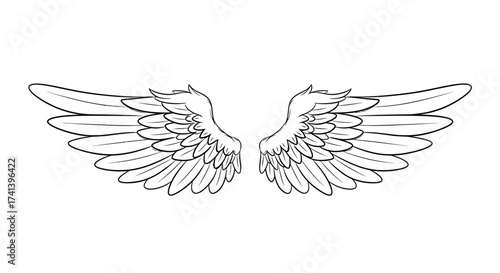 Detailed Line Art of Symmetrical Angel Wings.