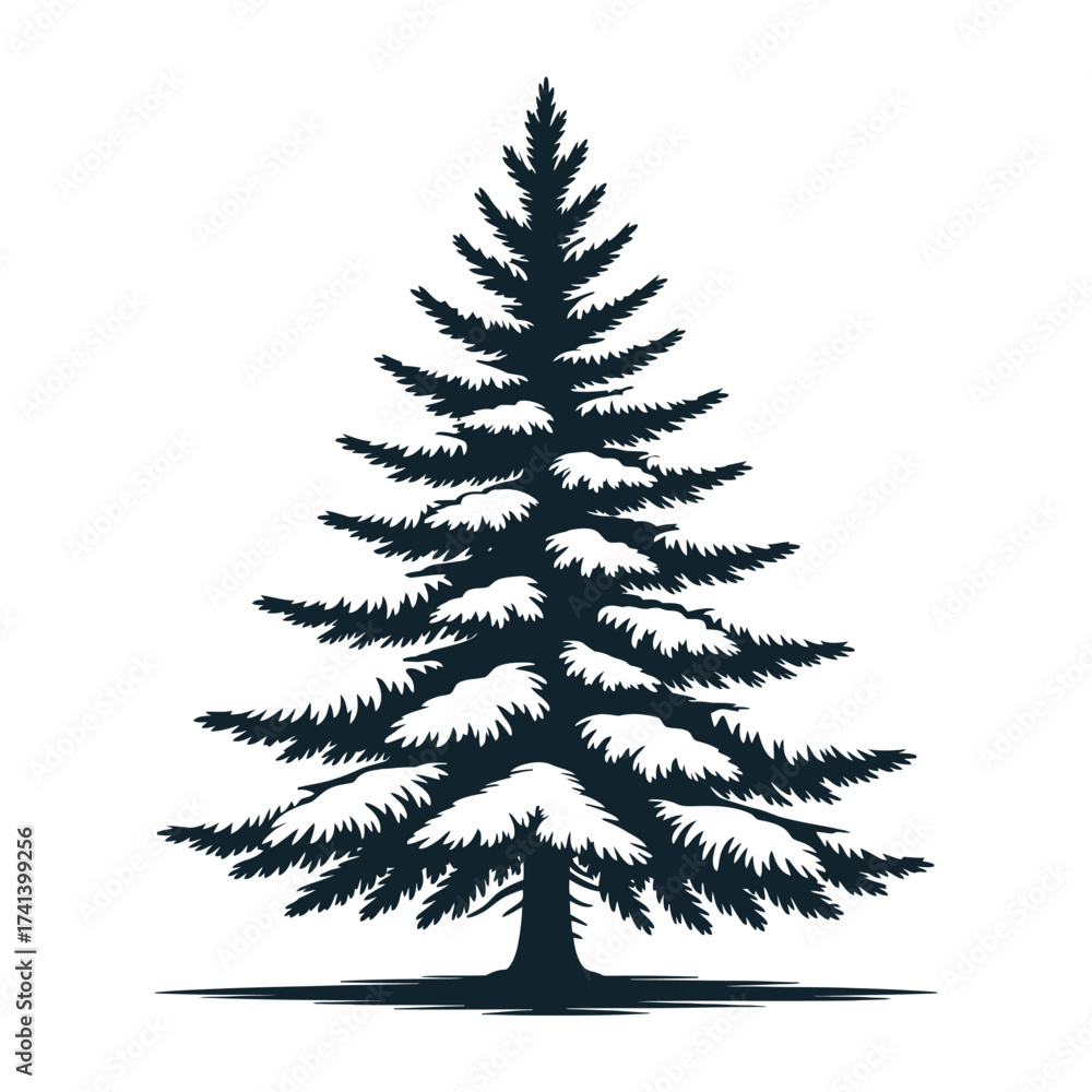 Obraz premium Snow-covered pine tree