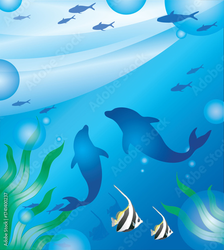 vector illustration of an underwater world. dolphins, tropical fish, water plants