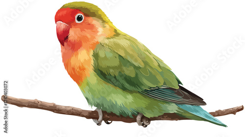 Colorful Peach-Faced Lovebird Perched on Branch in Vibrant Display