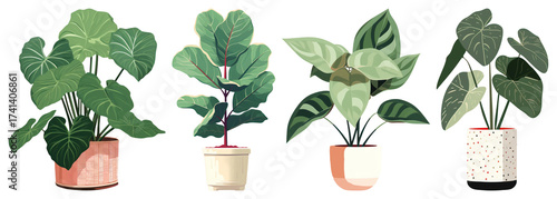 PNG Vibrant potted indoor plants illustration, element set on transparent background