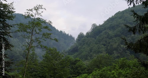 8K horizontal shot of the Fırtına Valley from a higher angle, surrounded by misty forests and mountain slopes. A calm yet powerful expression of nature’s balance