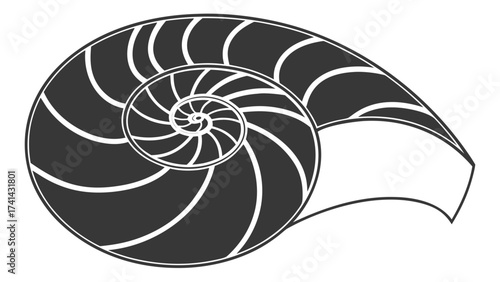 Nautilus Shell: Illustrative rendering of a nautilus shell, its logarithmic spiral beautifully showcased, a symbol of mathematics and natural perfection.