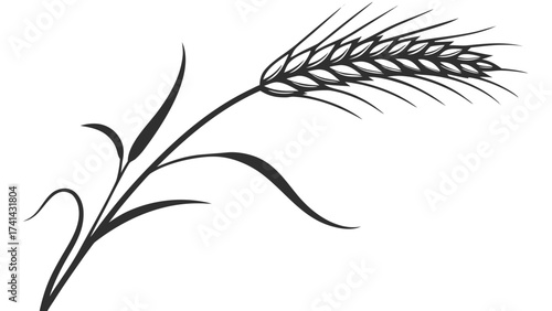 Golden Grain Emblem: A simple yet elegant illustration of a single stalk of golden grain, representing growth, abundance, and the beauty of agriculture.