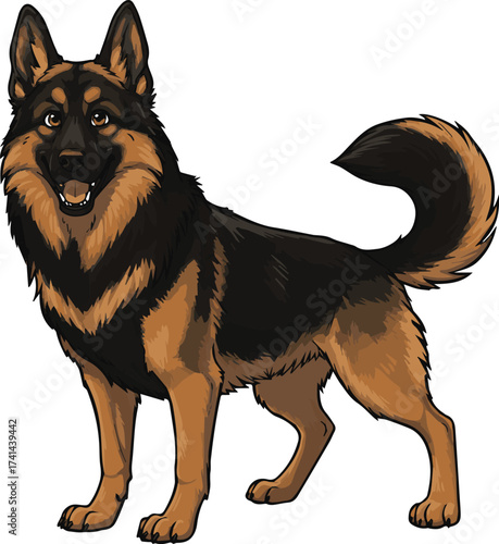 German Shepherd Dog Illustration