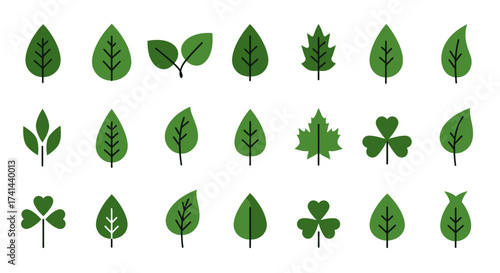 set of green leaves vector 22