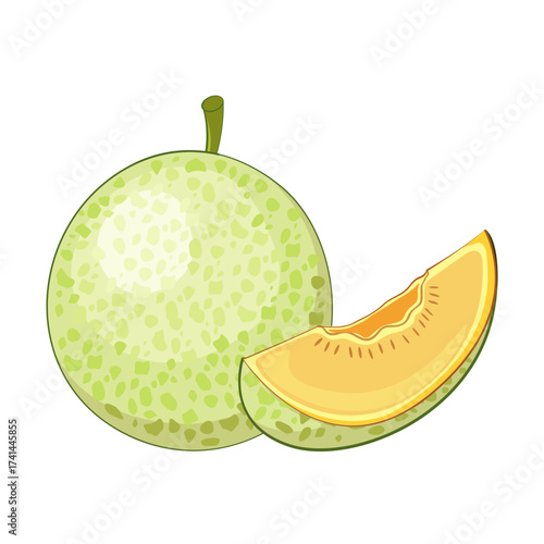 A whole light green cantaloupe melon with a slice showing its orange flesh and seeds on a black background