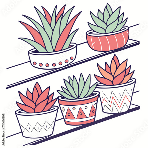 Colorful succulents in decorative pots arranged on shelves