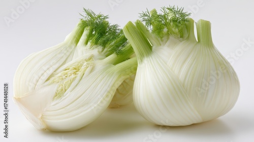 Fresh fennel bulbs with green fronds on light background
