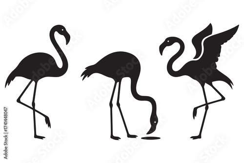 Set of Exotic Black flamingo birds silhouettes. Flamingos standing in different poses. Birds clipart, icons, symbol, logo. Vector Black silhouettes. with white background