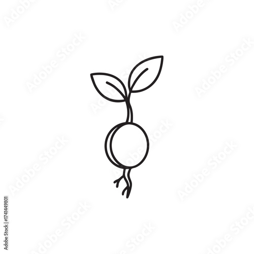Germinating seedling with leaves