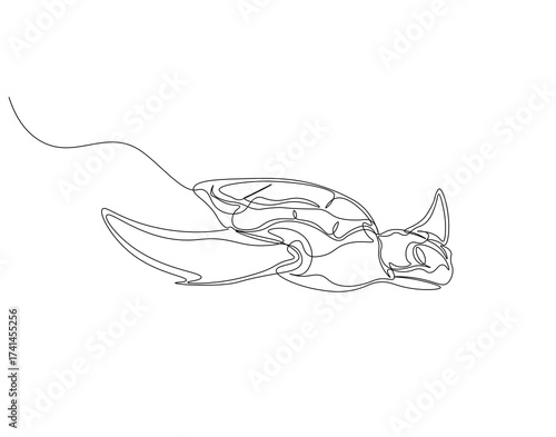 Sea turtle continuous line. Continuous one line drawing of sea turtle. Marine animal concept. Single line drawing