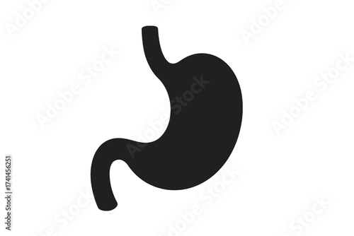 Stomach icon vector. Human internal organ silhouette. Digestive system, gastrointestinal, gut health concept. Medical, biology, anatomy graphic. Isolated flat design element.