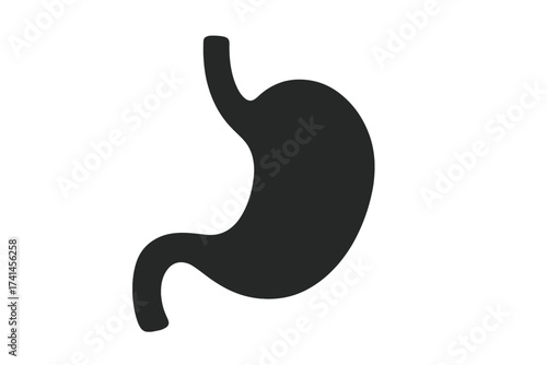 Human stomach icon. Digestive system organ symbol for medical and healthcare design. Gastroenterology, anatomy vector illustration. Gastric, digestion, gastrointestinal concept.
