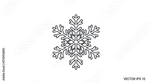 Obraz na plátne Intricate six-pointed snowflake with delicate crystalline branches