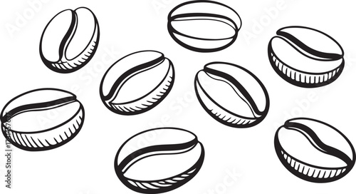 Coffee Beans Outline Collection Set on a Plain Background