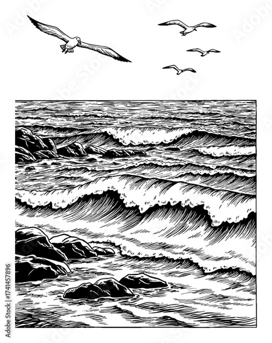 Sea Waves Rocks and Seagulls Landscape Black and White Outline Line Art Drawing Vintage Engraving Style