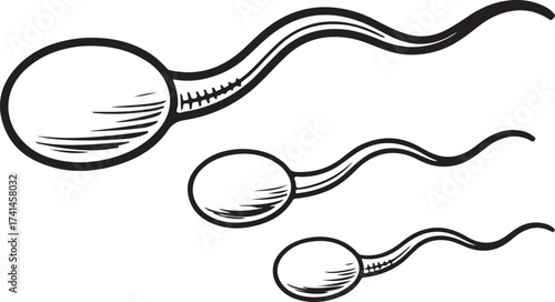 Hand Drawn Sperm Cells Black and White Illustration