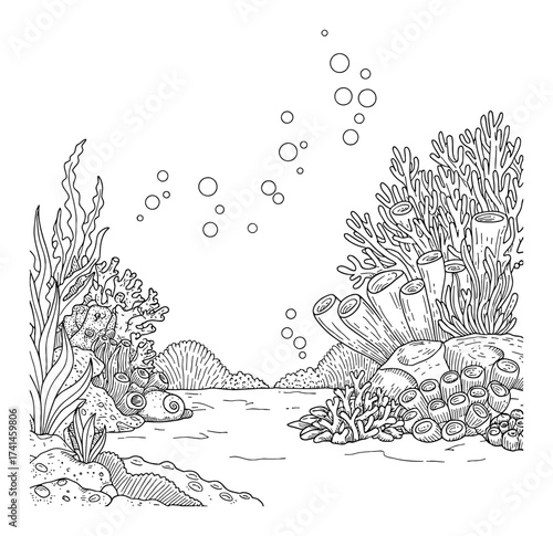 Underwater landscape with corals seaweeds and bubbles coloring book style Black and White Outline Line Art Drawing