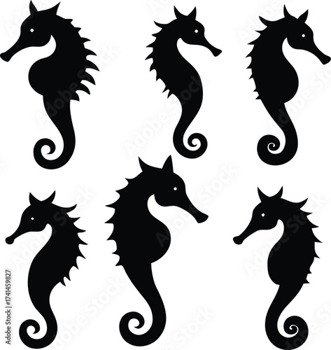 Seahorse Silhouette Pattern