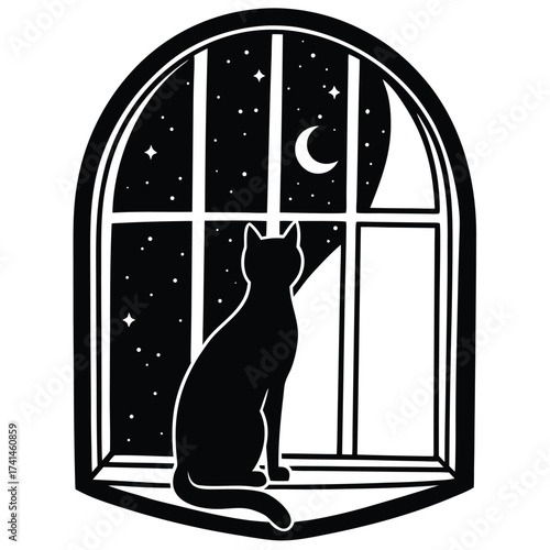 Silhouette of a cat sitting on a window sill at night
