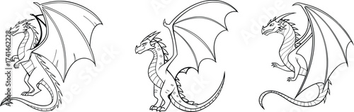 Enchanting dragon sketches ready for coloring books, tattoo designs, and mythical art projects, featuring winged creatures in detailed outlines