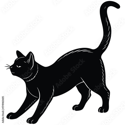 Black cat stretching its body, looking forward