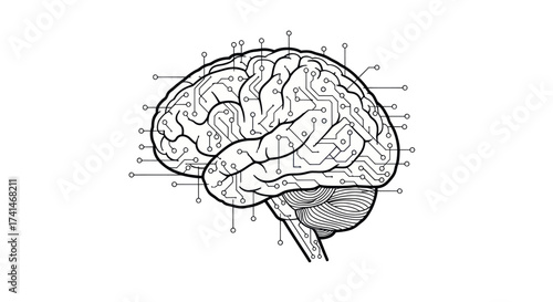 Detailed Anatomical Illustration of Human Brain with Labels.