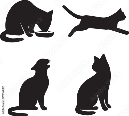 Cute Domestic Cat Sitting on White Background,
Adorable Kitten Playing with Ball of Yarn,
Fluffy Tabby Cat Relaxing on Sofa,
Black Cat with Green Eyes Closeup Portrait