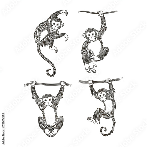 Four Monkey Silhouettes in Playful Poses Black and White Design