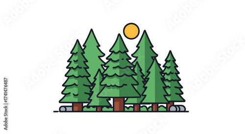 A stylized illustration of a dense evergreen forest under a bright sun.