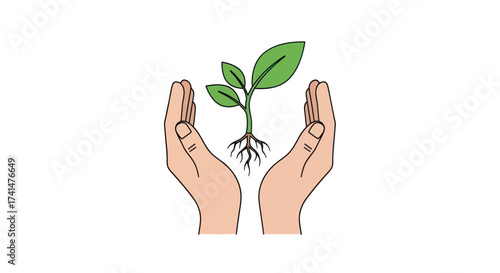 Cupped hands carefully protecting a young green plant with exposed roots.