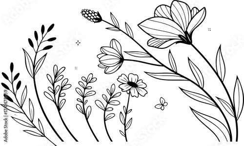 vector illustration of flowers