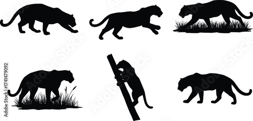 Animal Silhouette Vector Set with Panther Behavior Poses Hunting, Walking, Climbing for Wildlife, Nature, Jungle, Predator Illustration Use