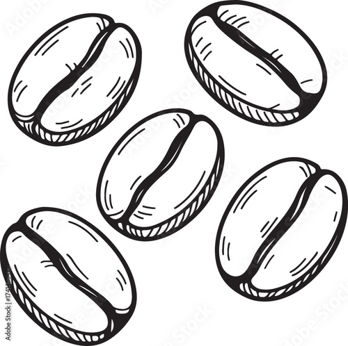 Line art coffee beans