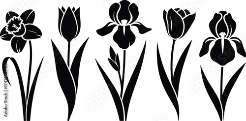 Floral Silhouette Illustration of Tulips and Irises in Elegant Design.