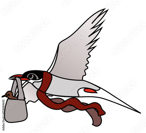 An arctic tern bird mother, Sterna paradisaea, dressed in a dark red scarf, flying and carrying a bag with a chick inside. Vector drawing. 